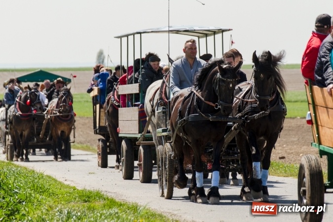 Zdjęcie w galerii na portalu naszraciborz.pl: Przez pola i łąki - korowód na Konnej Majówce w Kornicach wiadomości z regionu