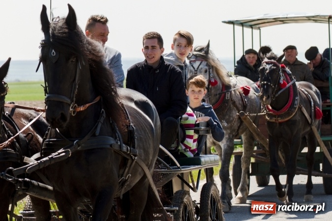 Zdjęcie w galerii na portalu naszraciborz.pl: Przez pola i łąki - korowód na Konnej Majówce w Kornicach wiadomości z regionu