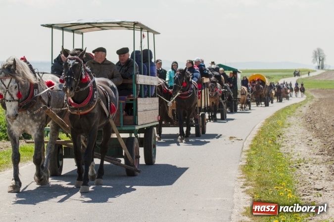 Zdjęcie w galerii na portalu naszraciborz.pl: Przez pola i łąki - korowód na Konnej Majówce w Kornicach wiadomości z regionu