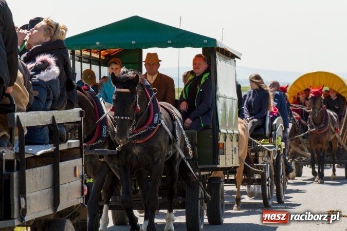 Zdjęcie w galerii na portalu naszraciborz.pl: Przez pola i łąki - korowód na Konnej Majówce w Kornicach wiadomości z regionu