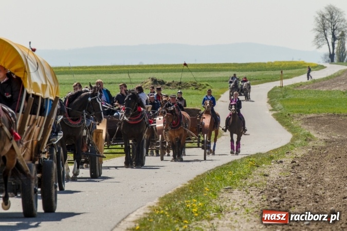 Zdjęcie w galerii na portalu naszraciborz.pl: Przez pola i łąki - korowód na Konnej Majówce w Kornicach wiadomości z regionu