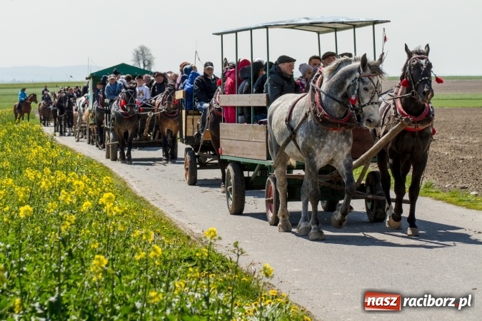 Zdjęcie w galerii na portalu naszraciborz.pl: Przez pola i łąki - korowód na Konnej Majówce w Kornicach wiadomości z regionu