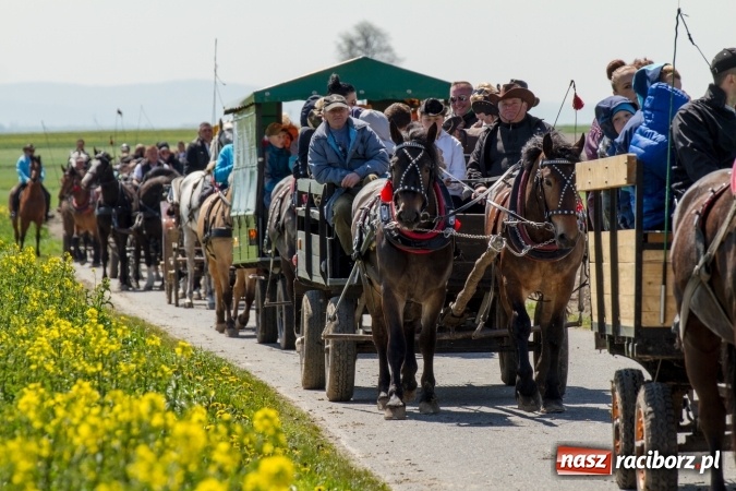 Zdjęcie w galerii na portalu naszraciborz.pl: Przez pola i łąki - korowód na Konnej Majówce w Kornicach wiadomości z regionu