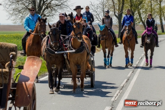 Zdjęcie w galerii na portalu naszraciborz.pl: Przez pola i łąki - korowód na Konnej Majówce w Kornicach wiadomości z regionu