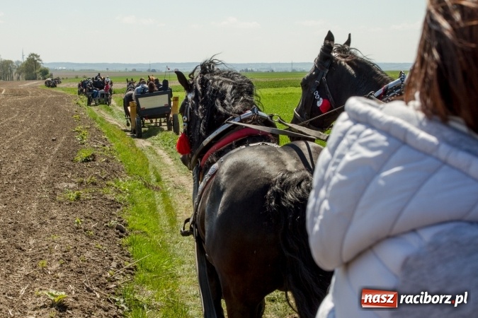 Zdjęcie w galerii na portalu naszraciborz.pl: Przez pola i łąki - korowód na Konnej Majówce w Kornicach wiadomości z regionu