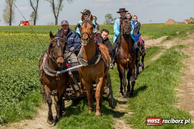 Zdjęcie w galerii na portalu naszraciborz.pl: Przez pola i łąki - korowód na Konnej Majówce w Kornicach wiadomości z regionu