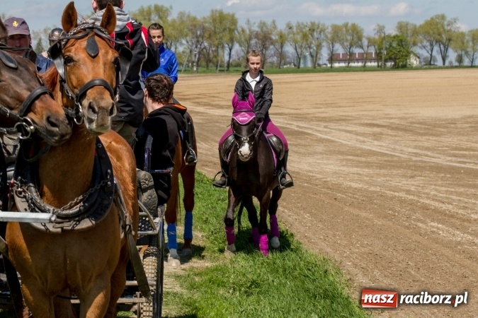 Zdjęcie w galerii na portalu naszraciborz.pl: Przez pola i łąki - korowód na Konnej Majówce w Kornicach wiadomości z regionu