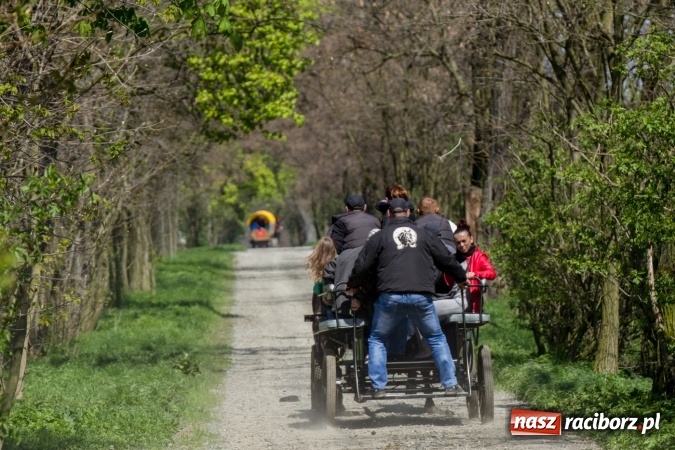 Zdjęcie w galerii na portalu naszraciborz.pl: Przez pola i łąki - korowód na Konnej Majówce w Kornicach wiadomości z regionu