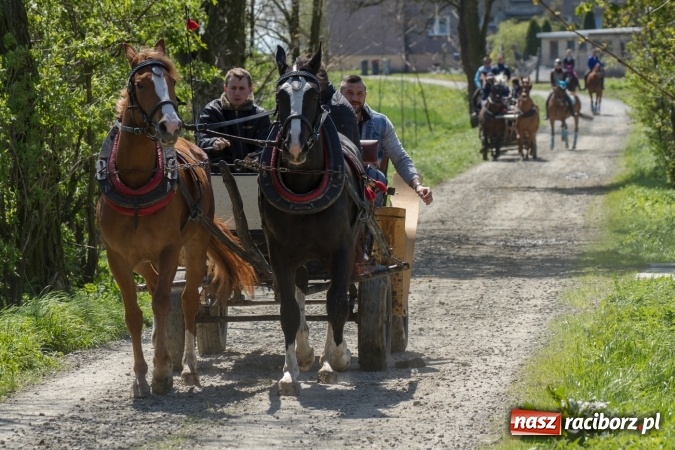Zdjęcie w galerii na portalu naszraciborz.pl: Przez pola i łąki - korowód na Konnej Majówce w Kornicach wiadomości z regionu