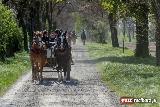 Zdjęcie w galerii na portalu naszraciborz.pl: Przez pola i łąki - korowód na Konnej Majówce w Kornicach wiadomości z regionu