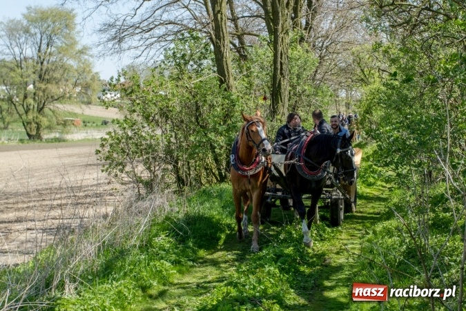 Zdjęcie w galerii na portalu naszraciborz.pl: Przez pola i łąki - korowód na Konnej Majówce w Kornicach wiadomości z regionu