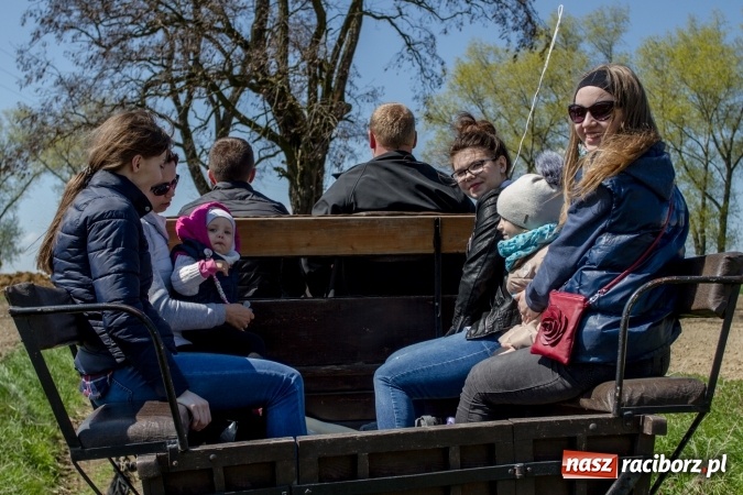 Zdjęcie w galerii na portalu naszraciborz.pl: Przez pola i łąki - korowód na Konnej Majówce w Kornicach wiadomości z regionu