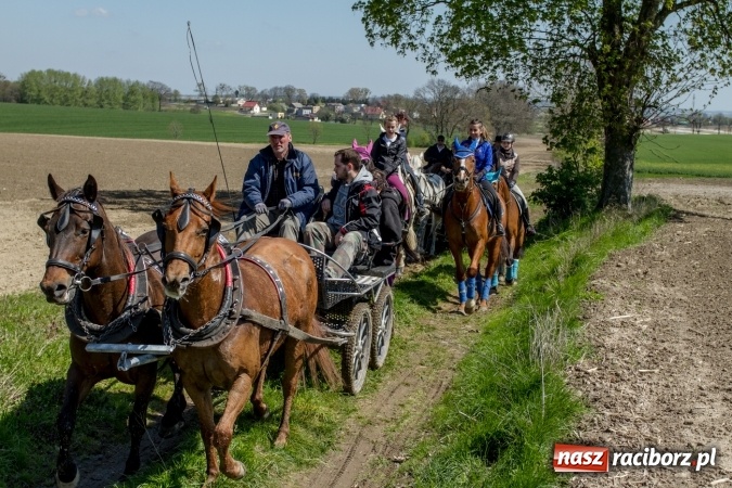 Zdjęcie w galerii na portalu naszraciborz.pl: Przez pola i łąki - korowód na Konnej Majówce w Kornicach wiadomości z regionu