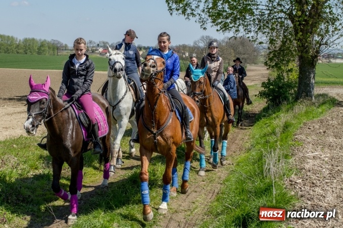 Zdjęcie w galerii na portalu naszraciborz.pl: Przez pola i łąki - korowód na Konnej Majówce w Kornicach wiadomości z regionu