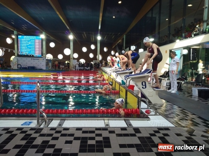 Zdjęcie w galerii na portalu naszraciborz.pl: Pływanie. Dobry start raciborskiego SMS-u w Opolu  wiadomości z regionu