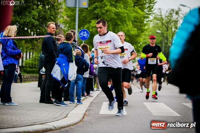 Zdjęcie w galerii na portalu naszraciborz.pl: 4BIEGI Racibórz ściągają coraz więcej sportowców  wiadomości z regionu