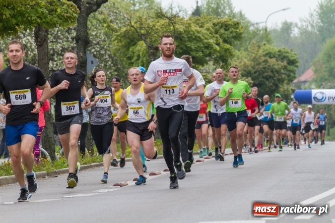 Zdjęcie w galerii na portalu naszraciborz.pl: 4BIEGI Racibórz ściągają coraz więcej sportowców  wiadomości z regionu