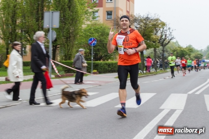 Zdjęcie w galerii na portalu naszraciborz.pl: 4BIEGI Racibórz ściągają coraz więcej sportowców  wiadomości z regionu