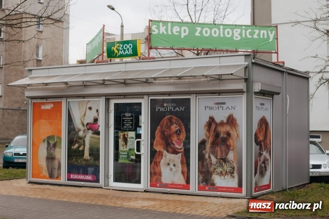 Zdjęcie w galerii na portalu naszraciborz.pl: Plaga kleszczy! To nie żarty wiadomości z regionu