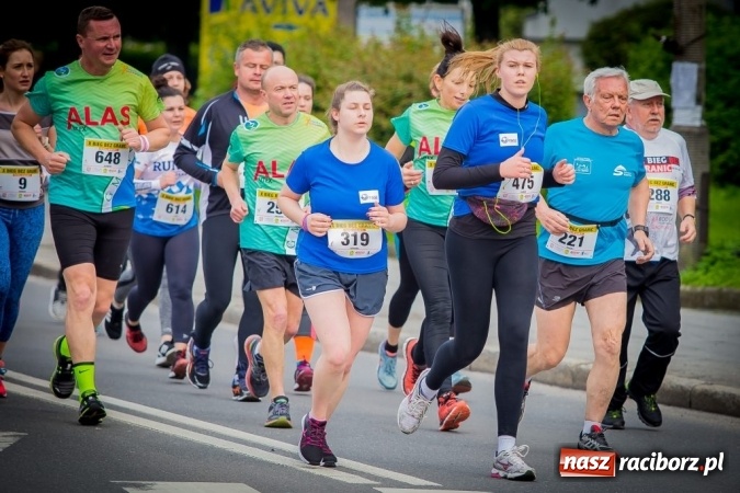 Zdjęcie w galerii na portalu naszraciborz.pl: Studenci i wykładowcy PWSZ w Raciborzu uczestnikami X Biegu bez Granic wiadomości z regionu