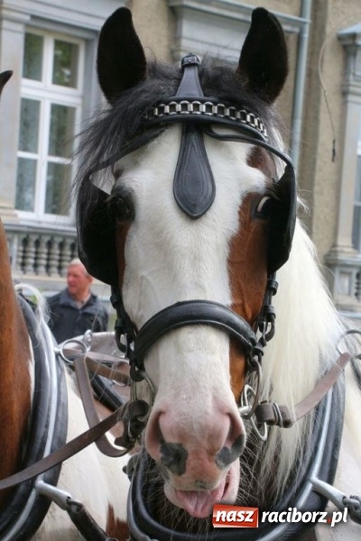 Zdjęcie w galerii na portalu naszraciborz.pl: Na pamiątkę strasznego dnia okropnego gradu - mieszkańcy Pogrzebienia modlili się w procesji ku czci św. Floriana wiadomości z regionu