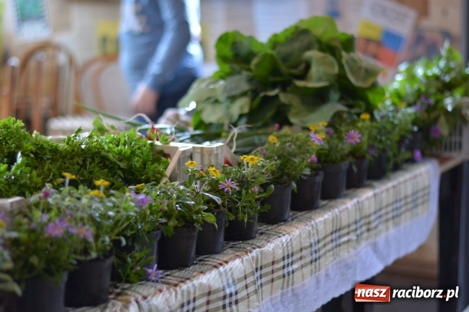 Zdjęcie w galerii na portalu naszraciborz.pl: Bio Bazar na Końcu Świata to już mała tradycja wiadomości z regionu