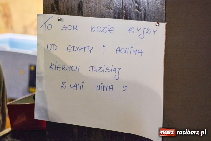 Zdjęcie w galerii na portalu naszraciborz.pl: Bio Bazar na Końcu Świata to już mała tradycja wiadomości z regionu