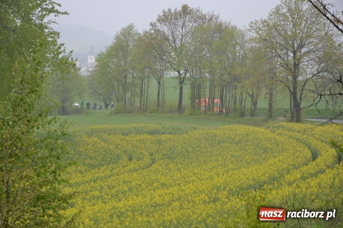 Zdjęcie w galerii na portalu naszraciborz.pl: Rajd Rowerowy Partnerskich Gmin połączony z otwarciem sezonu rowerowego gminy Krzyżanowice wiadomości z regionu