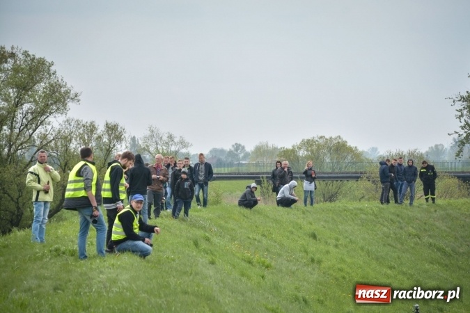 Zdjęcie w galerii na portalu naszraciborz.pl: Rajd Samochodowy o Puchar Burmistrza Kuźni Raciborskiej wiadomości z regionu