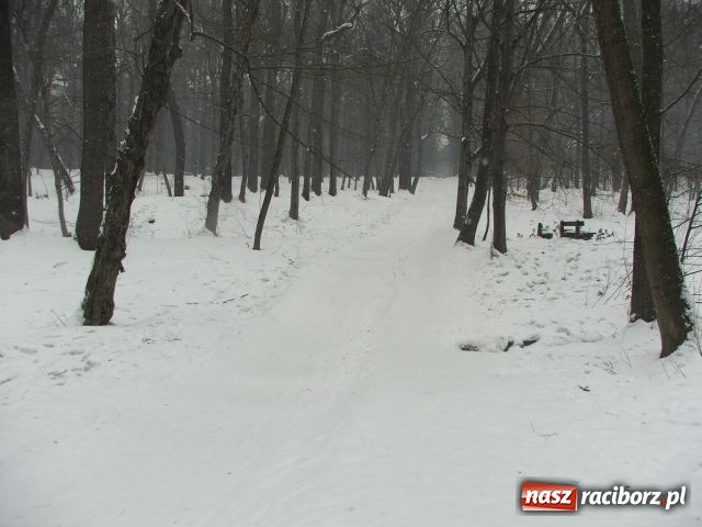 Zdjęcie w galerii na portalu naszraciborz.pl: Tor saneczkowy po remoncie wiadomości z regionu