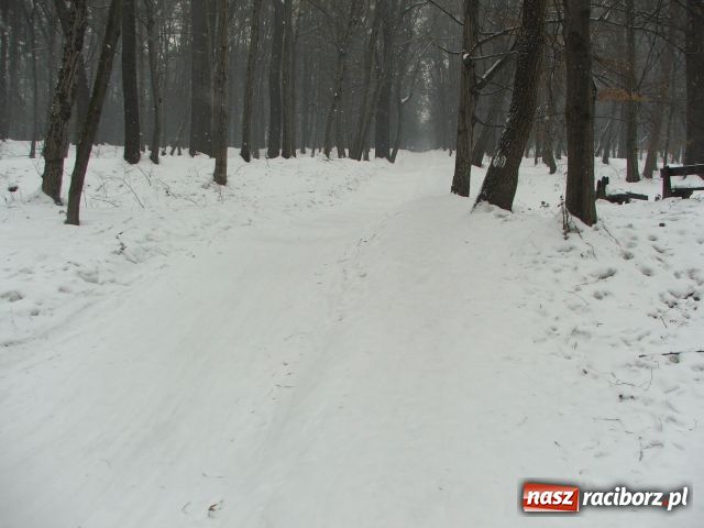 Zdjęcie w galerii na portalu naszraciborz.pl: Tor saneczkowy po remoncie wiadomości z regionu