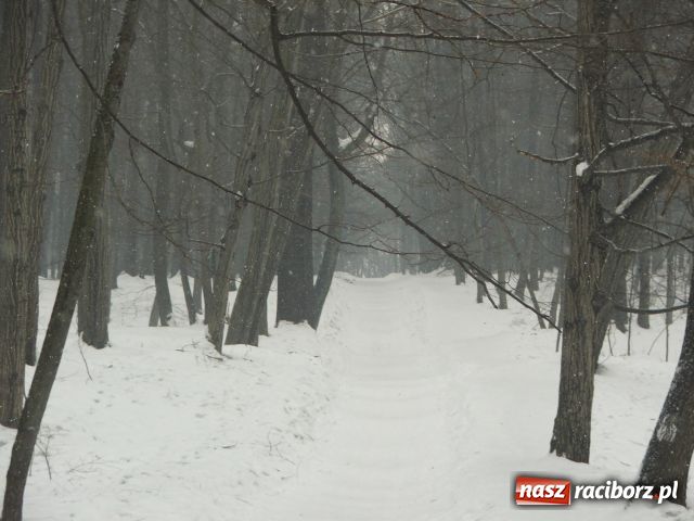 Zdjęcie w galerii na portalu naszraciborz.pl: Tor saneczkowy po remoncie wiadomości z regionu