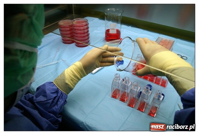 Zdjęcie w galerii na portalu naszraciborz.pl: Rafako S.A. wspiera Fundację im. prof. Zbigniewa Religi  wiadomości z regionu