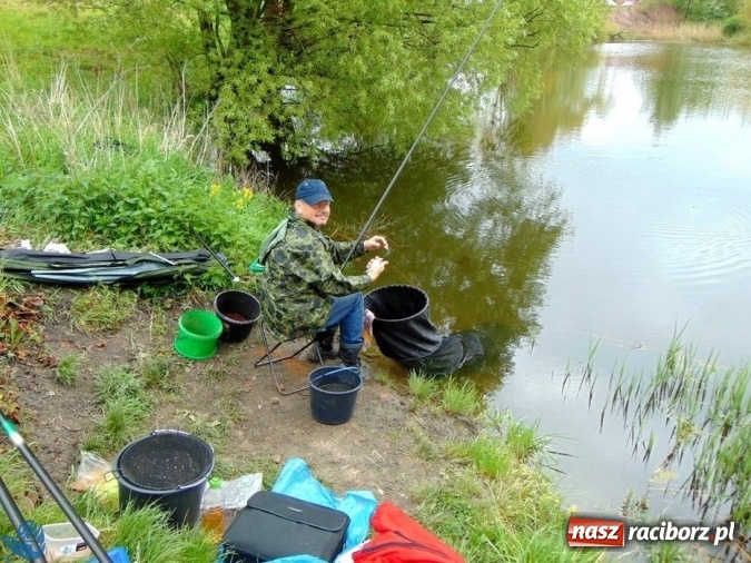 Zdjęcie w galerii na portalu naszraciborz.pl: Raciborskie koło Polskiego Związku Wędkarskiego zorganizowało zawody sportowe w dyscyplinie spławikowej wiadomości z regionu