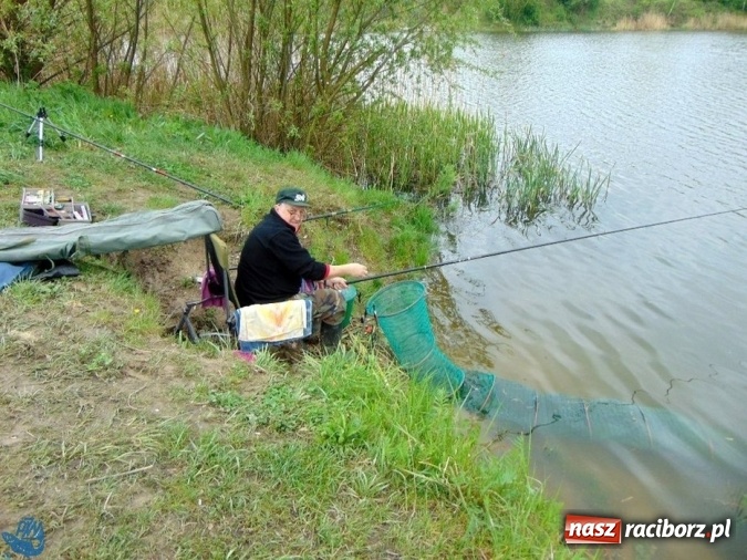Zdjęcie w galerii na portalu naszraciborz.pl: Raciborskie koło Polskiego Związku Wędkarskiego zorganizowało zawody sportowe w dyscyplinie spławikowej wiadomości z regionu