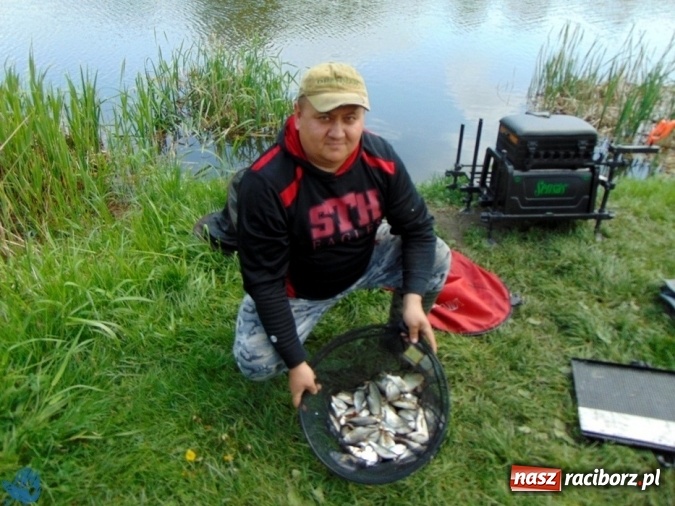 Zdjęcie w galerii na portalu naszraciborz.pl: Raciborskie koło Polskiego Związku Wędkarskiego zorganizowało zawody sportowe w dyscyplinie spławikowej wiadomości z regionu