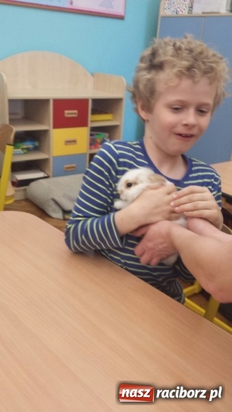 Zdjęcie w galerii na portalu naszraciborz.pl: Lekcja z gryzoniami w Szkole Podstawowej nr 13  wiadomości z regionu