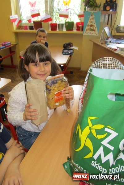 Zdjęcie w galerii na portalu naszraciborz.pl: Lekcja z gryzoniami w Szkole Podstawowej nr 13  wiadomości z regionu