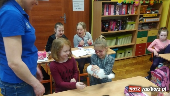 Zdjęcie w galerii na portalu naszraciborz.pl: Lekcja z gryzoniami w Szkole Podstawowej nr 13  wiadomości z regionu