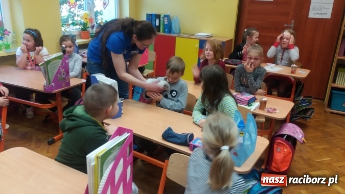 Zdjęcie w galerii na portalu naszraciborz.pl: Lekcja z gryzoniami w Szkole Podstawowej nr 13  wiadomości z regionu