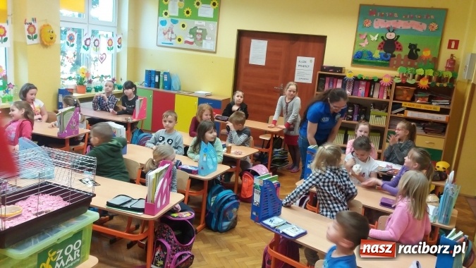Zdjęcie w galerii na portalu naszraciborz.pl: Lekcja z gryzoniami w Szkole Podstawowej nr 13  wiadomości z regionu