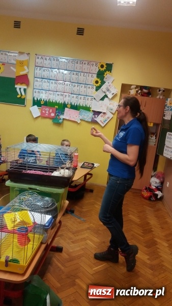 Zdjęcie w galerii na portalu naszraciborz.pl: Lekcja z gryzoniami w Szkole Podstawowej nr 13  wiadomości z regionu