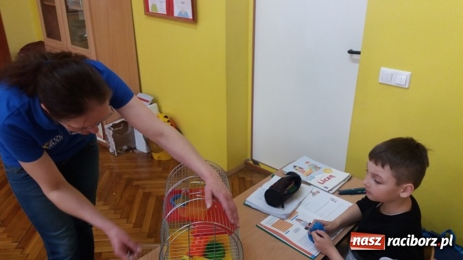 Zdjęcie w galerii na portalu naszraciborz.pl: Lekcja z gryzoniami w Szkole Podstawowej nr 13  wiadomości z regionu