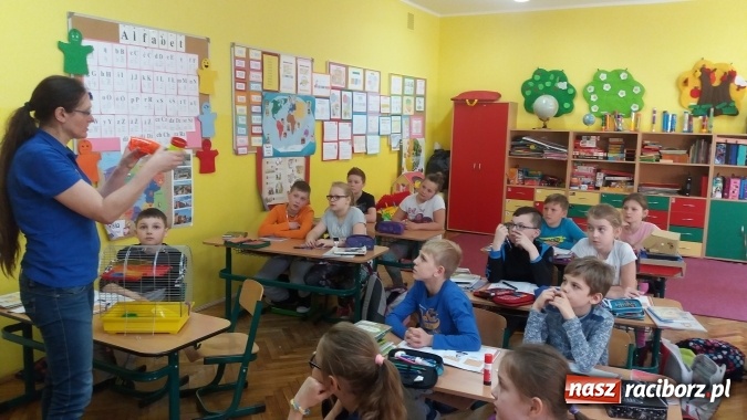 Zdjęcie w galerii na portalu naszraciborz.pl: Lekcja z gryzoniami w Szkole Podstawowej nr 13  wiadomości z regionu
