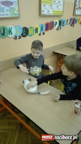 Zdjęcie w galerii na portalu naszraciborz.pl: Lekcja z gryzoniami w Szkole Podstawowej nr 13  wiadomości z regionu