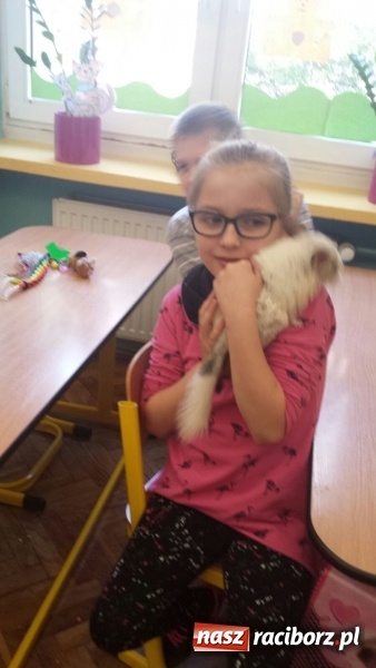 Zdjęcie w galerii na portalu naszraciborz.pl: Lekcja z gryzoniami w Szkole Podstawowej nr 13  wiadomości z regionu