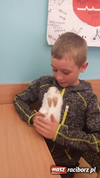 Zdjęcie w galerii na portalu naszraciborz.pl: Lekcja z gryzoniami w Szkole Podstawowej nr 13  wiadomości z regionu