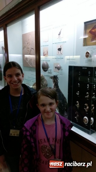 Zdjęcie w galerii na portalu naszraciborz.pl: Uczniowie Szkoły Podstawowej nr 4 odkrywali Londyn  wiadomości z regionu