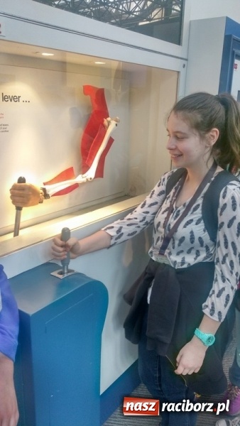 Zdjęcie w galerii na portalu naszraciborz.pl: Uczniowie Szkoły Podstawowej nr 4 odkrywali Londyn  wiadomości z regionu