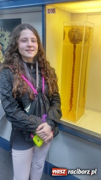 Zdjęcie w galerii na portalu naszraciborz.pl: Uczniowie Szkoły Podstawowej nr 4 odkrywali Londyn  wiadomości z regionu